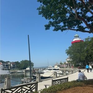 Meet your Posher, Dorothy